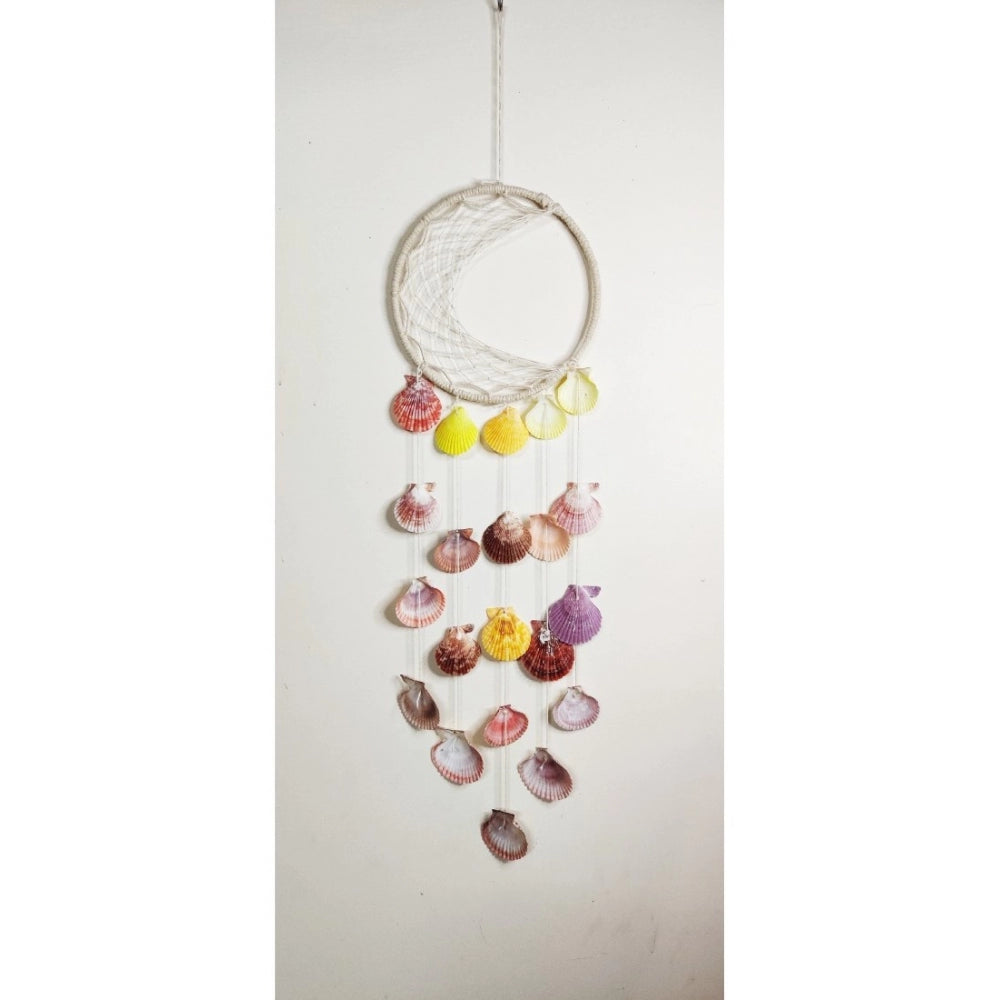 Amfyn Seashell Shellkrafts Home Decor (Multicolor)