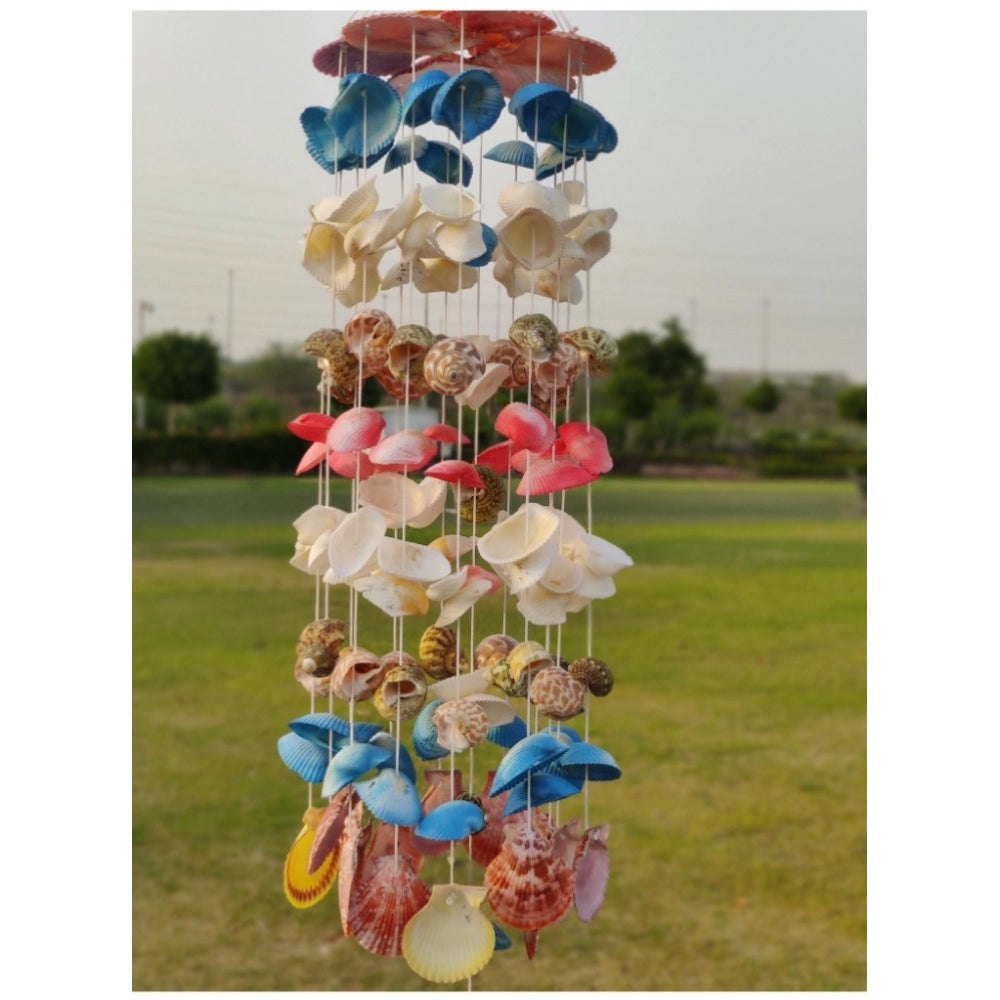 Amfyn Seashell Shellkrafts Home Decor (Multicolor)