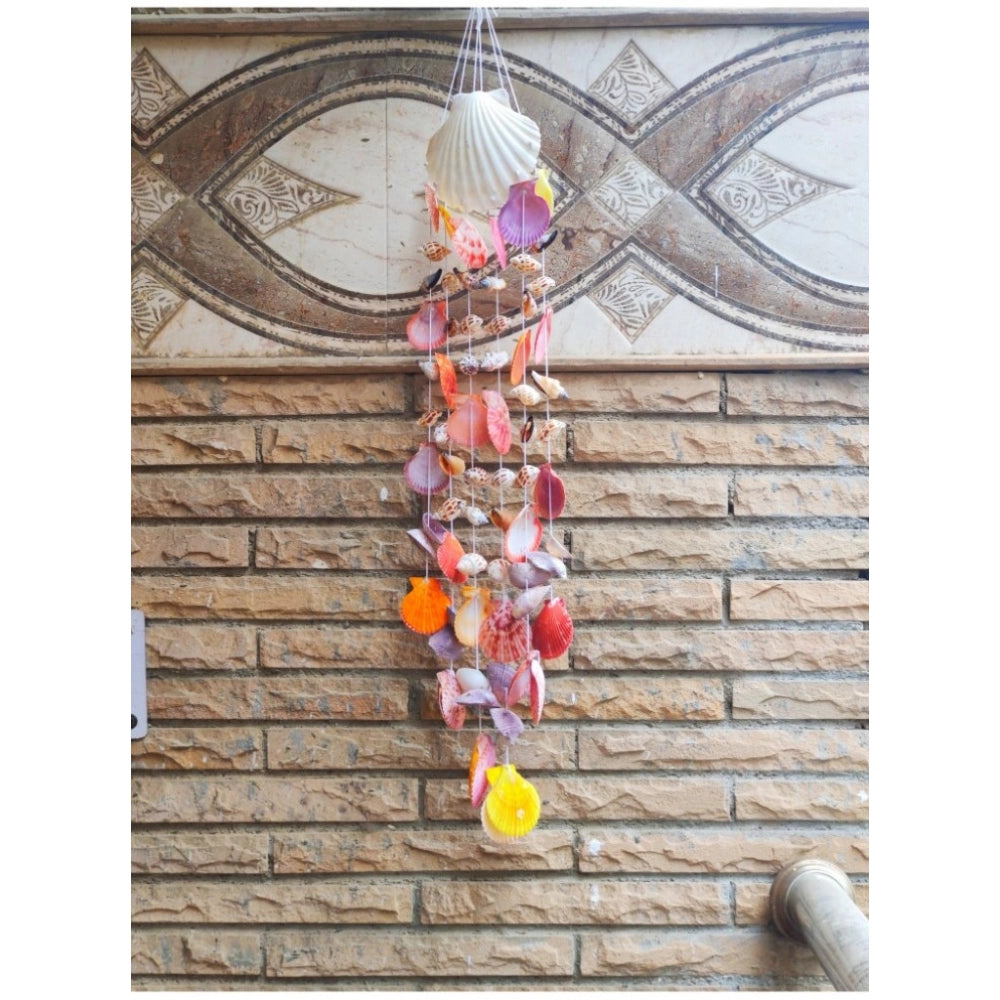 Amfyn Seashell Shellkrafts Home Decor (Multicolor)