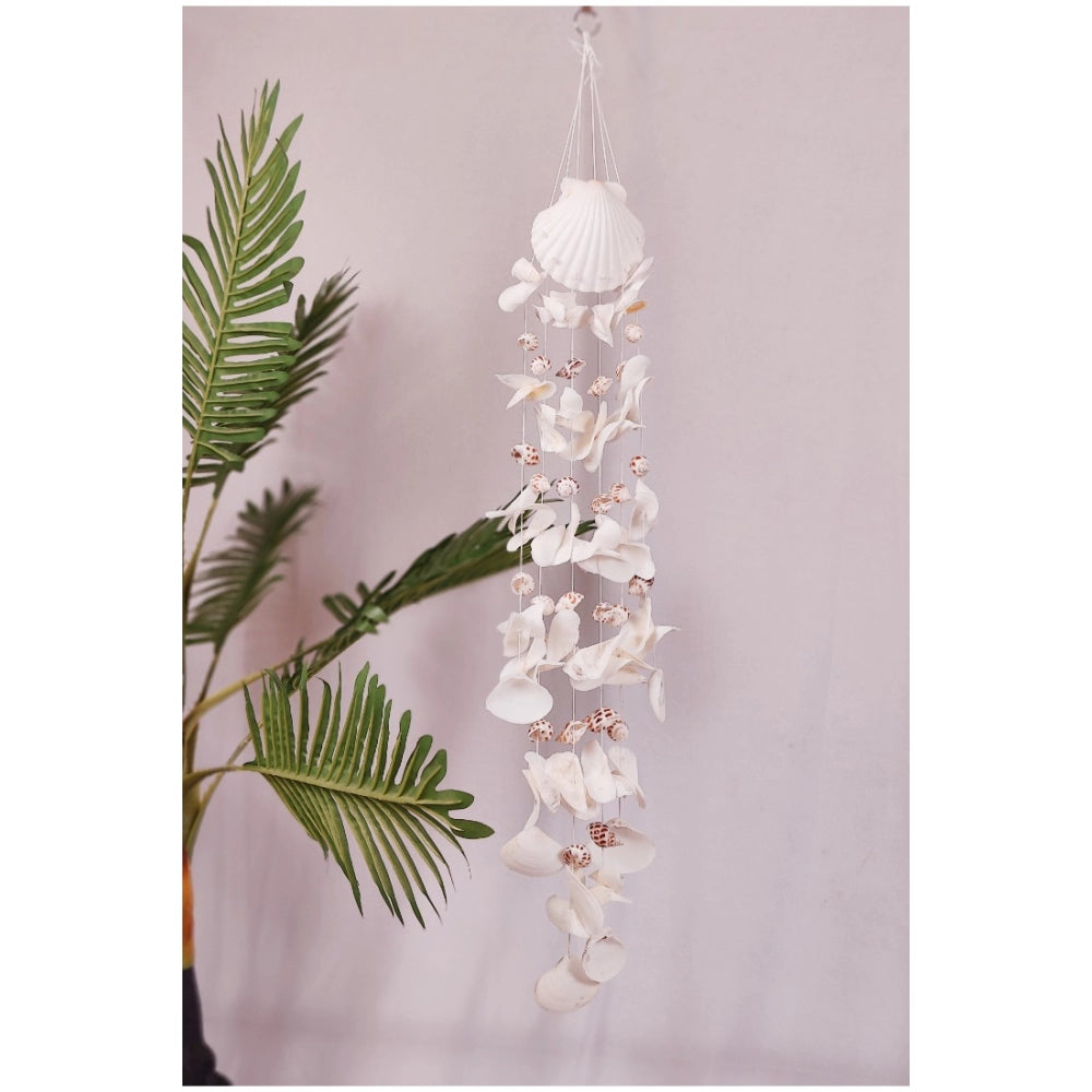 Amfyn Seashell Shellkrafts Home Decor (White)