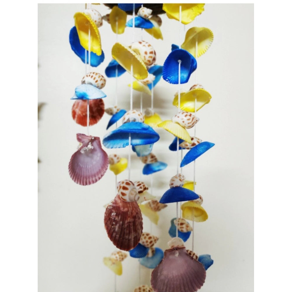 Amfyn Seashell Shellkrafts Home Decor (Multicolor)