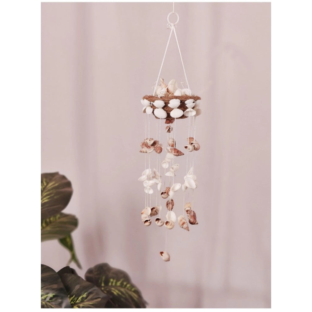 Amfyn Seashell Shellkrafts Home Decor (White)