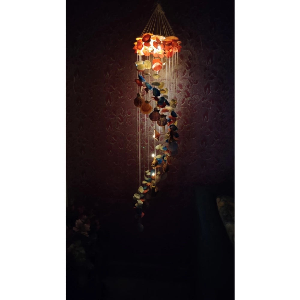 Amfyn Seashell Shellkrafts Home Decor (Multicolor)