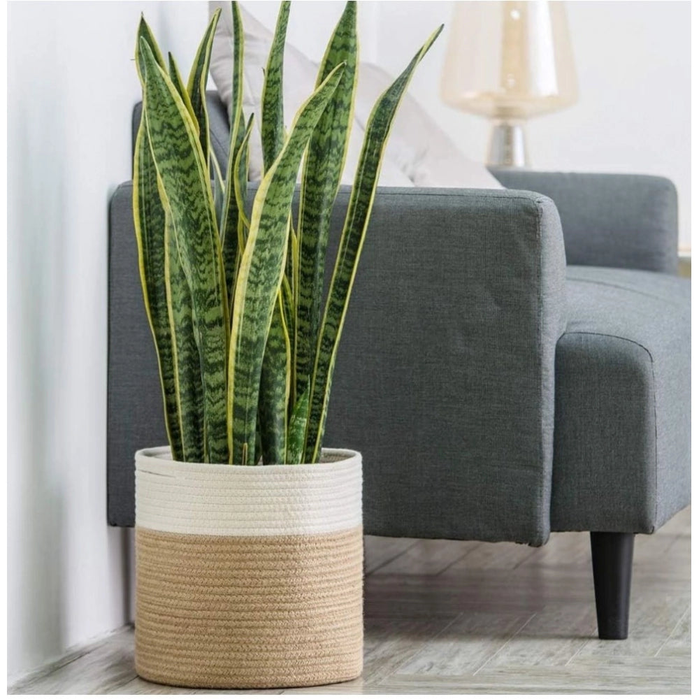 Amfyn Cotton Large Woven Storage Basket 11x11 Inch Pack of 1 (Beige White)