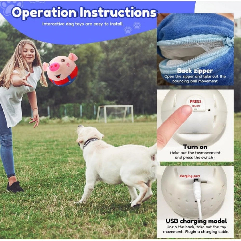 Amfyn Dancing Piggy Ball (Multicolor)
