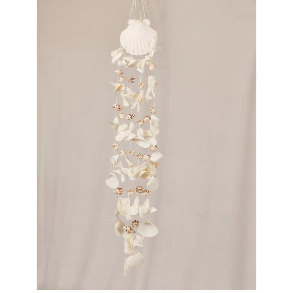 Amfyn Seashell Shellkrafts Home Decor (White)