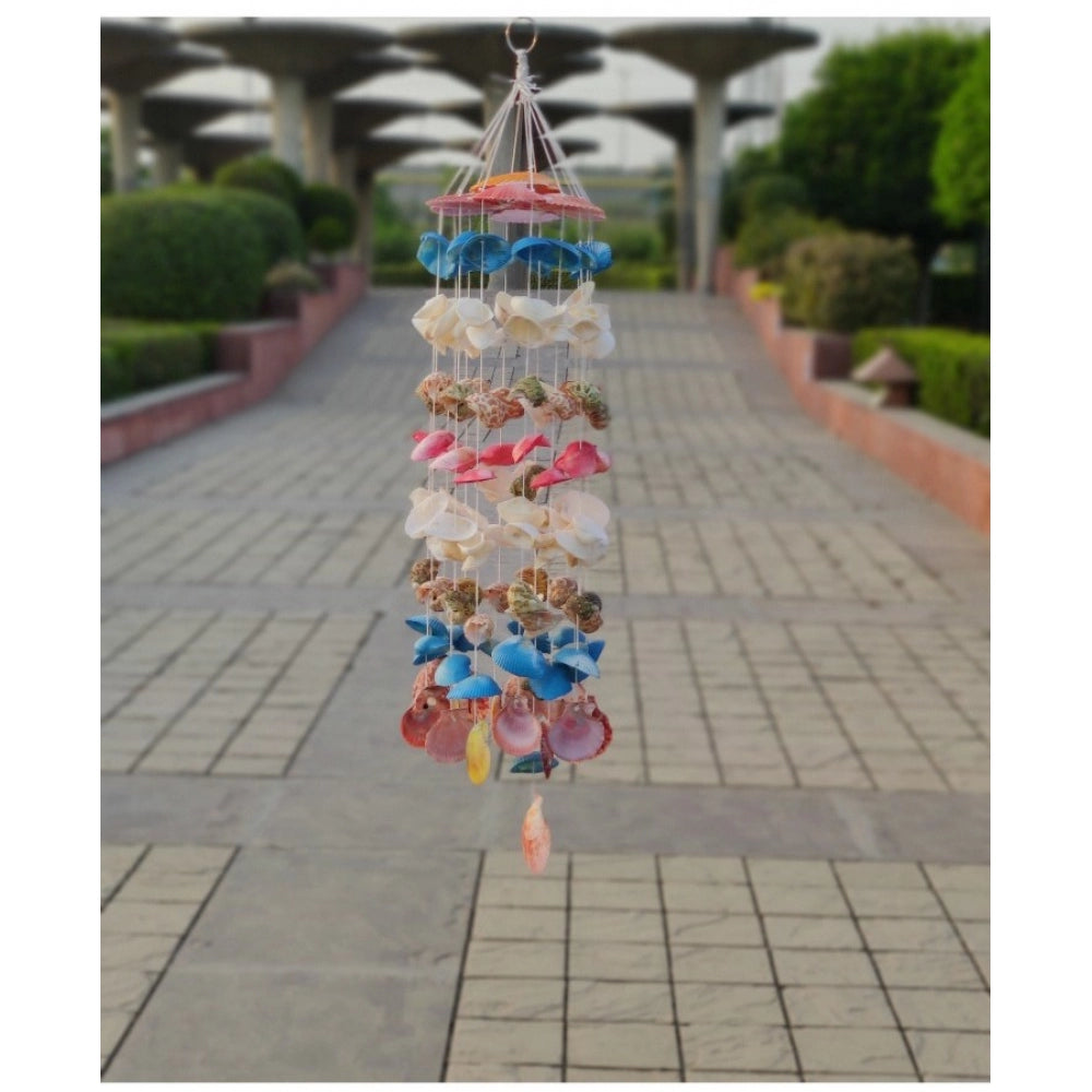 Amfyn Seashell Shellkrafts Home Decor (Multicolor)