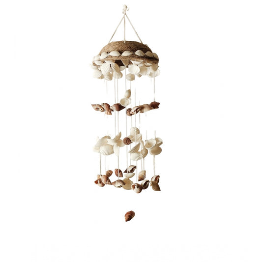 Amfyn Seashell Shellkrafts Home Decor (White)