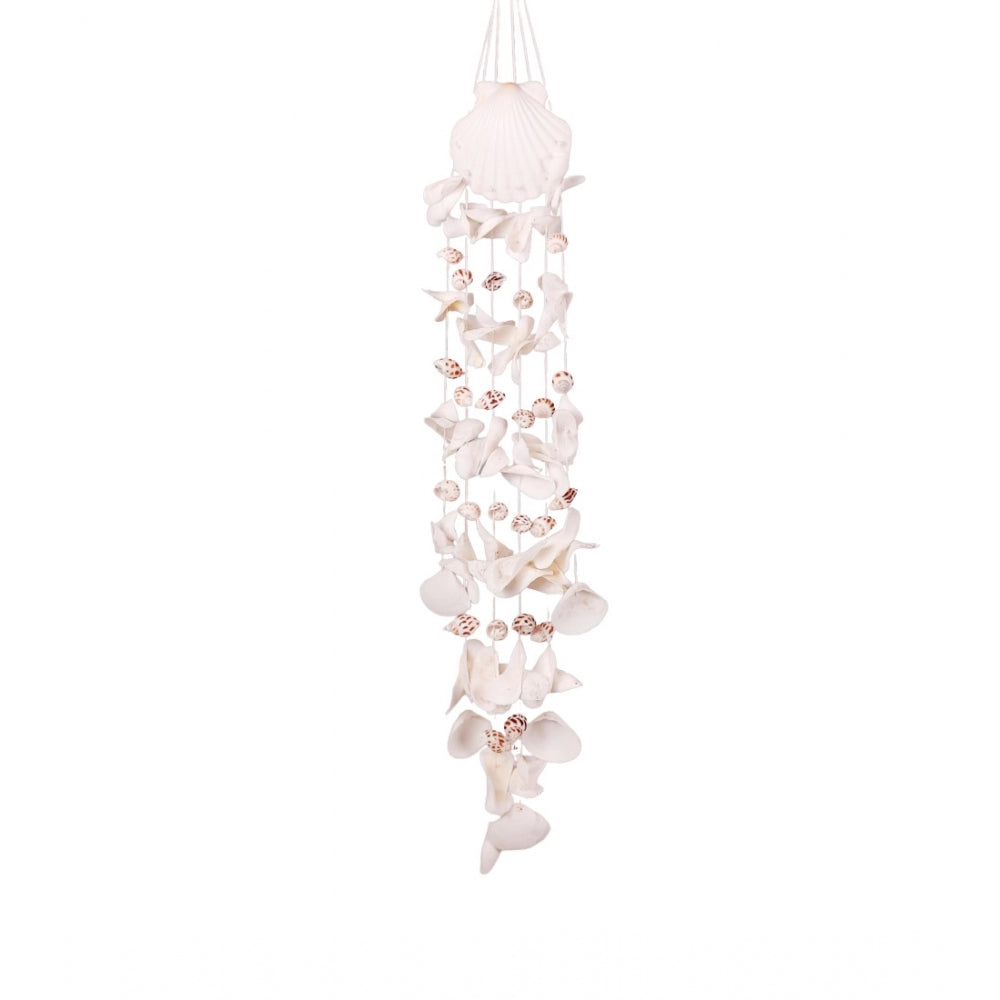 Amfyn Seashell Shellkrafts Home Decor (White)