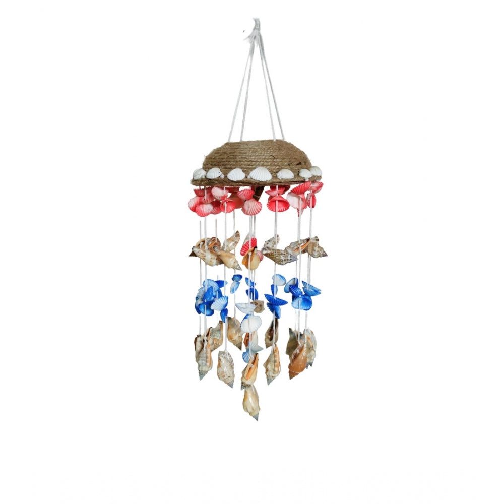 Amfyn Seashell Shellkrafts Home Decor (Multicolor)