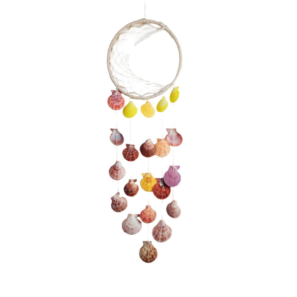Amfyn Seashell Shellkrafts Home Decor (Multicolor)