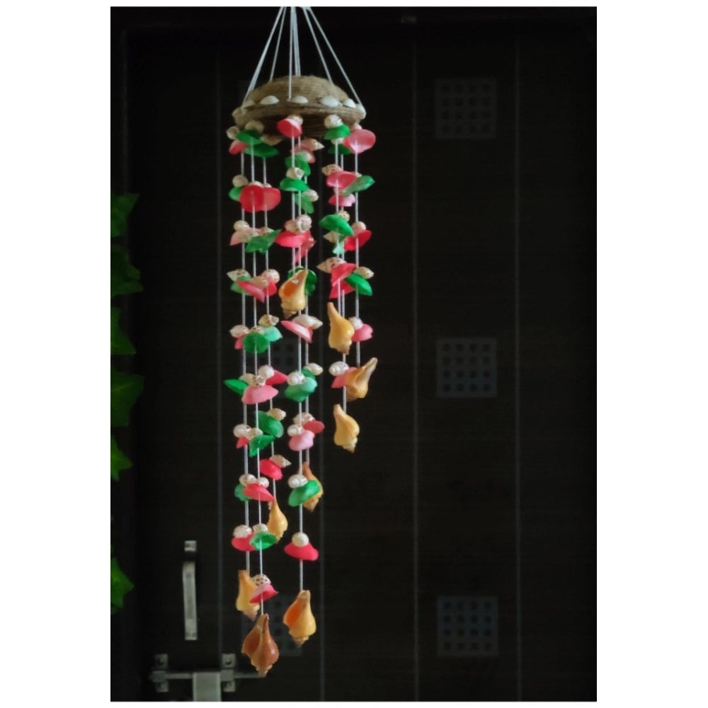 Amfyn Seashell Shellkrafts Home Decor (Multicolor)