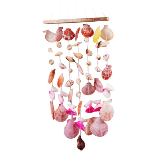Amfyn Seashell Shellkrafts Home Decor (Multicolor)