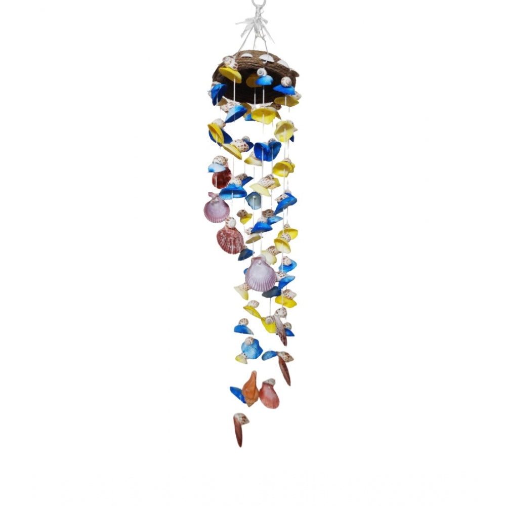 Amfyn Seashell Shellkrafts Home Decor (Multicolor)