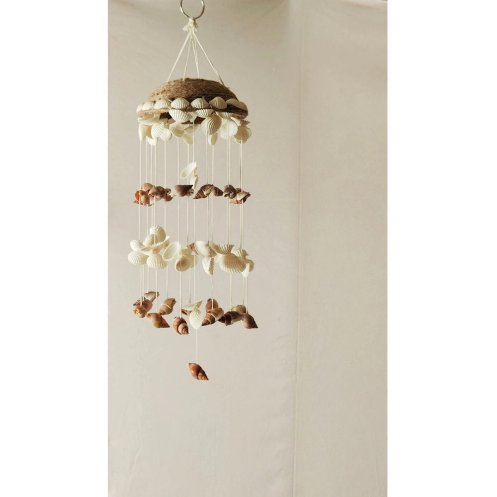 Amfyn Seashell Shellkrafts Home Decor (White)