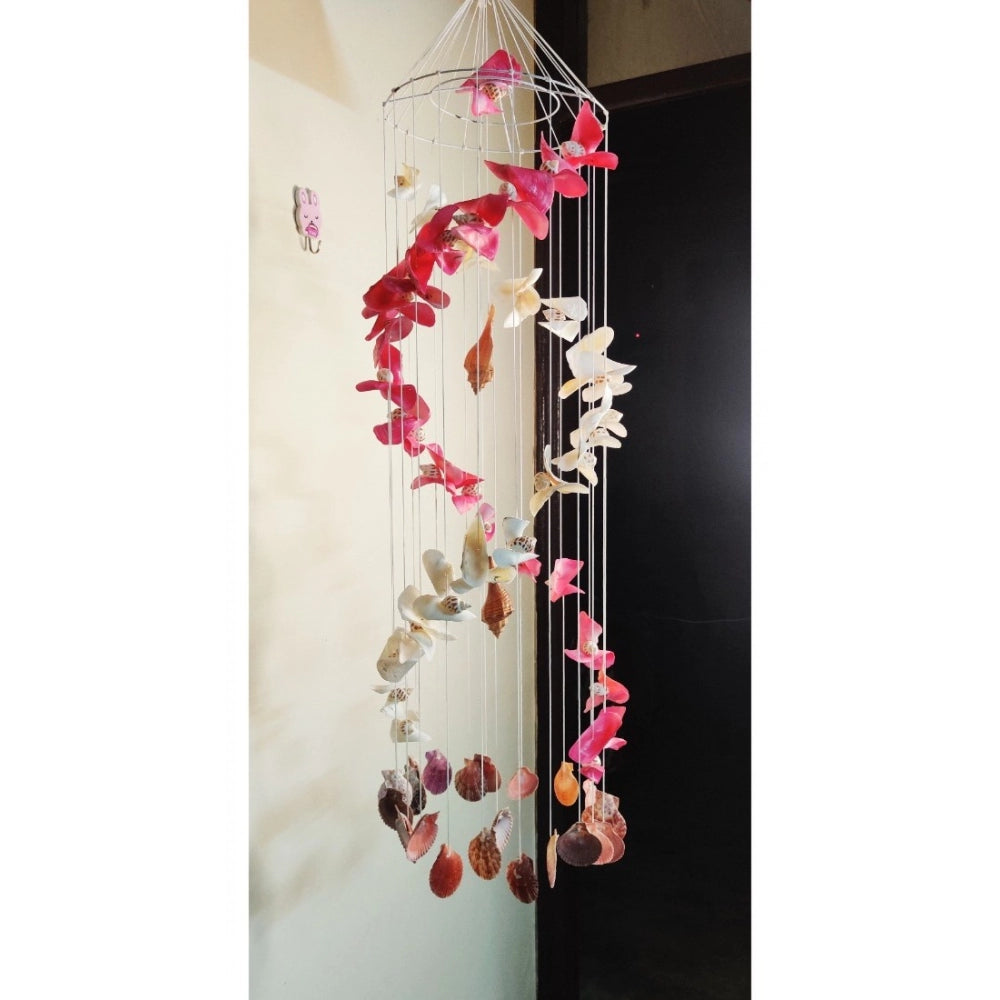 Amfyn Seashell Shellkrafts Home Decor (Multicolor)