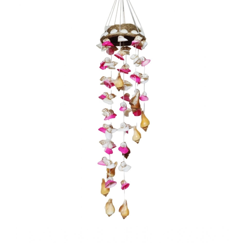 Amfyn Seashell Shellkrafts Home Decor (Multicolor)