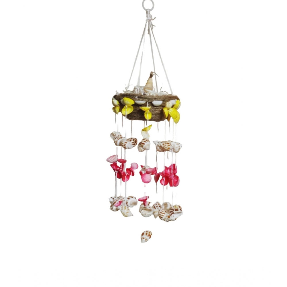 Amfyn Seashell Shellkrafts Home Decor (Multicolor)