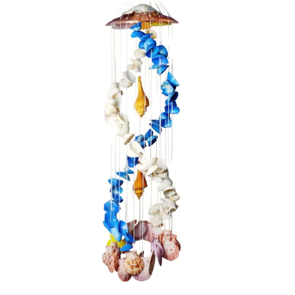 Amfyn Seashell Shellkrafts Home Decor (Multicolor)