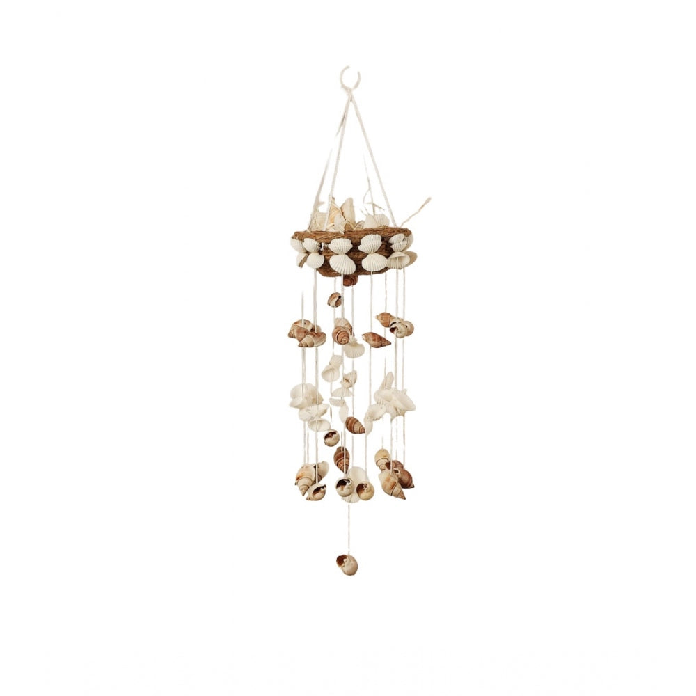 Amfyn Seashell Shellkrafts Home Decor (White)