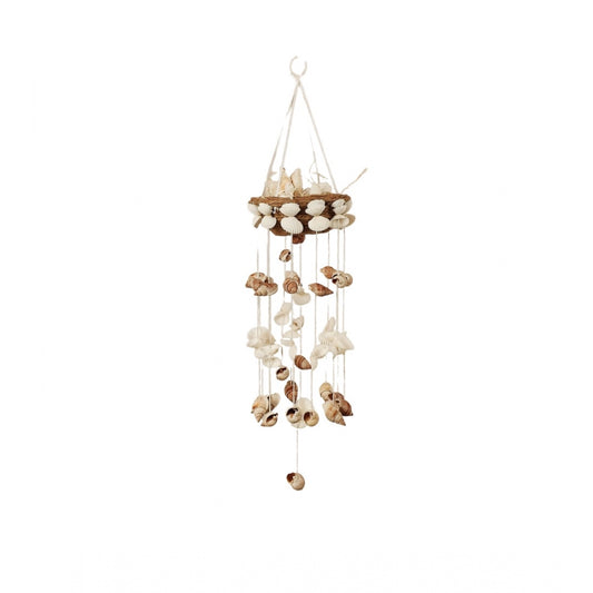 Amfyn Seashell Shellkrafts Home Decor (White)