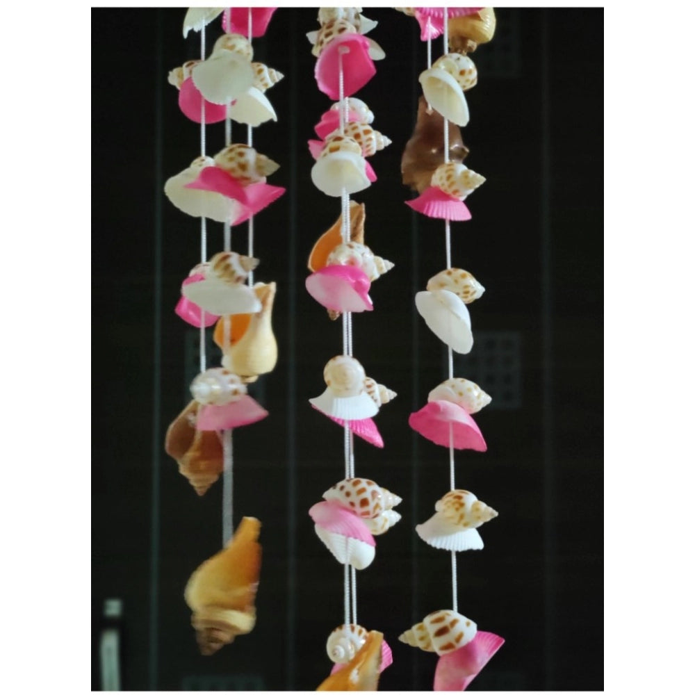 Amfyn Seashell Shellkrafts Home Decor (Multicolor)