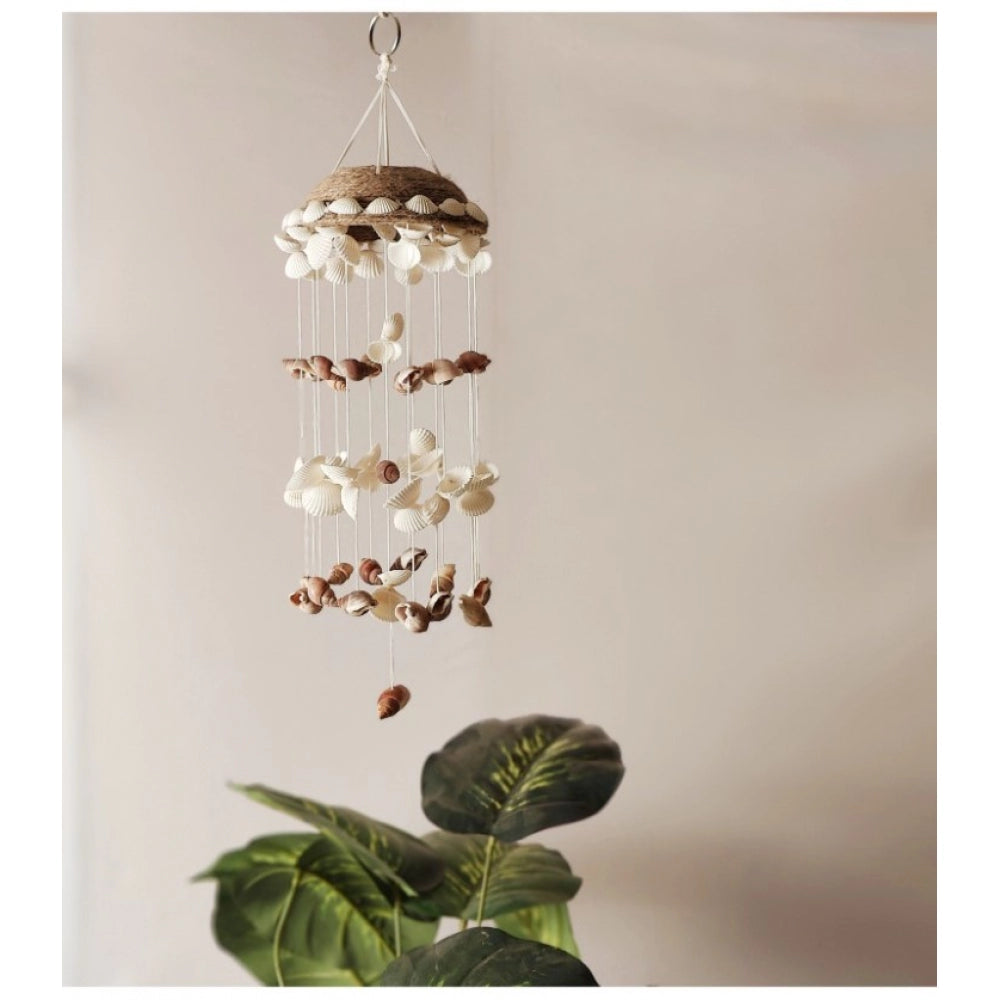 Amfyn Seashell Shellkrafts Home Decor (White)