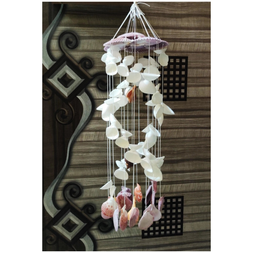 Amfyn Seashell Shellkrafts Home Decor (White)