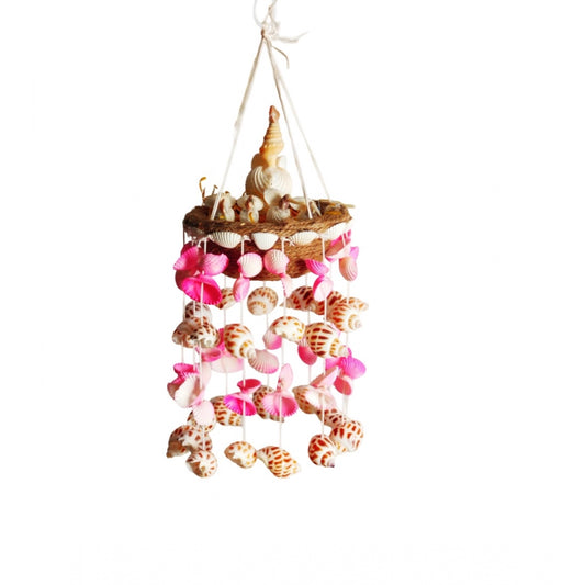 Amfyn Seashell Shellkrafts Home Decor (Multicolor)
