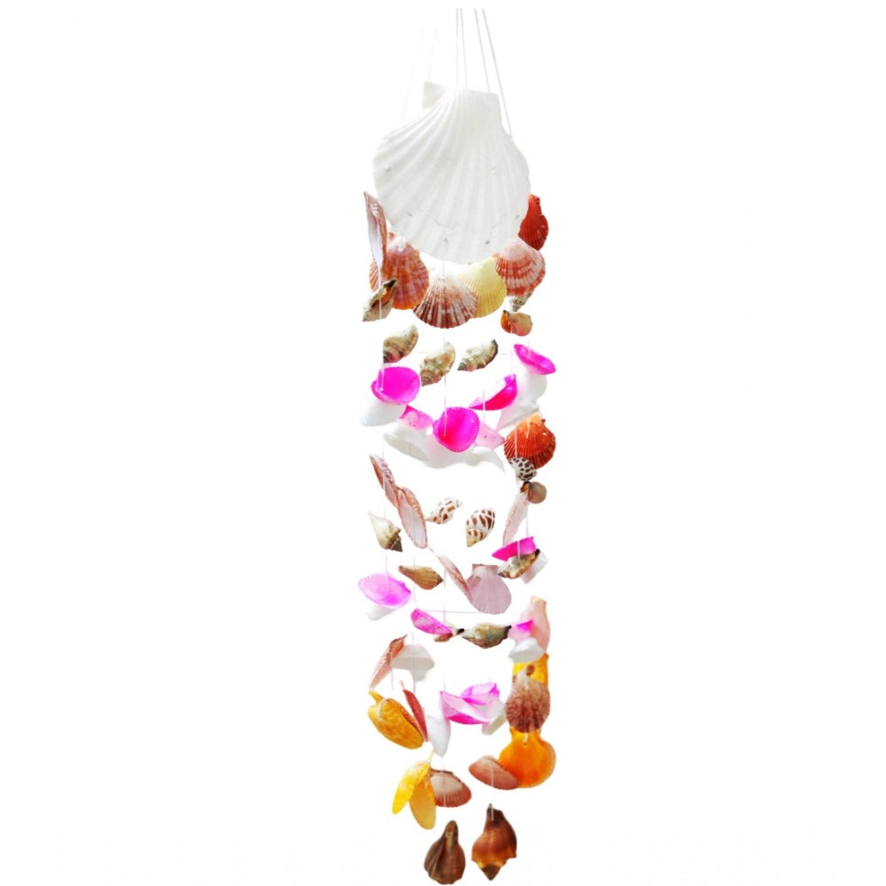 Amfyn Seashell Shellkrafts Home Decor (Multicolor)
