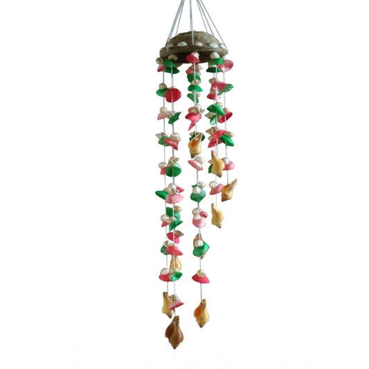 Amfyn Seashell Shellkrafts Home Decor (Multicolor)