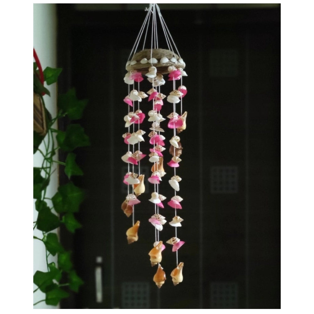 Amfyn Seashell Shellkrafts Home Decor (Multicolor)