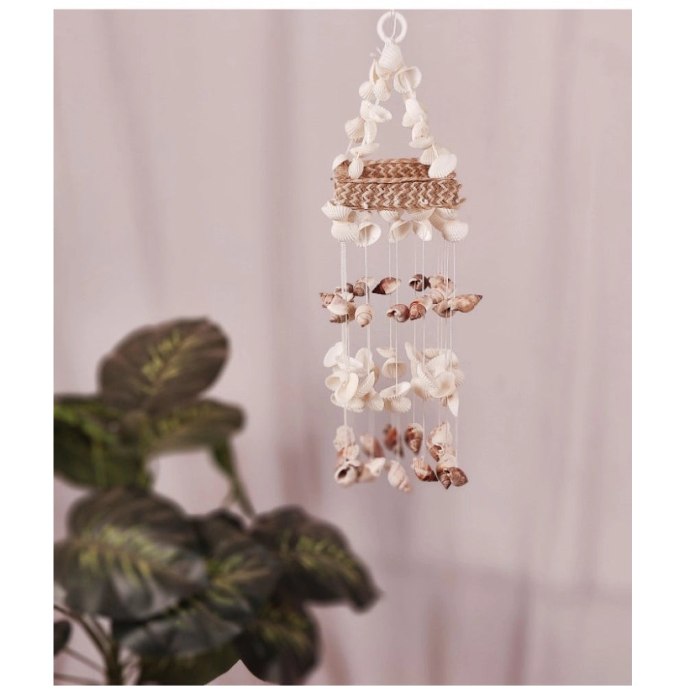 Amfyn Seashell Shellkrafts Home Decor (White)