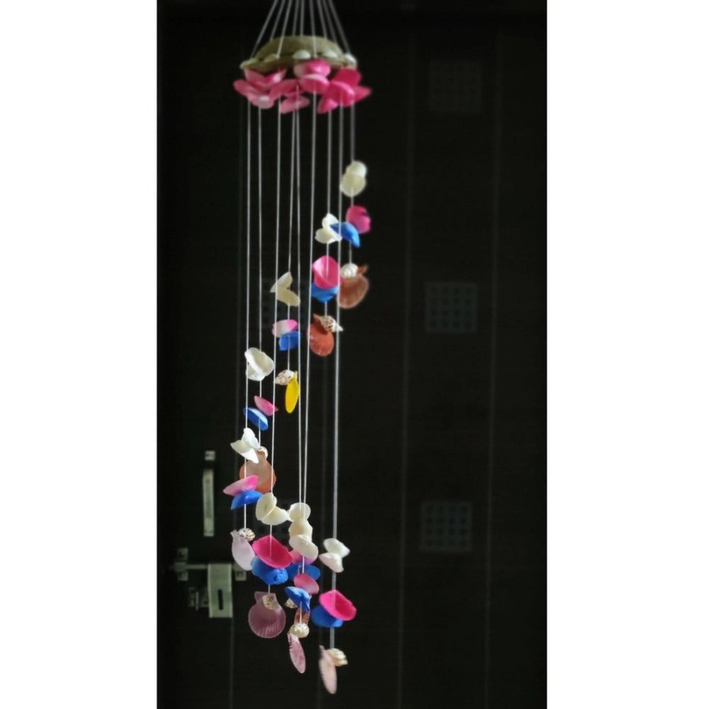 Amfyn Seashell Shellkrafts Home Decor (Multicolor)