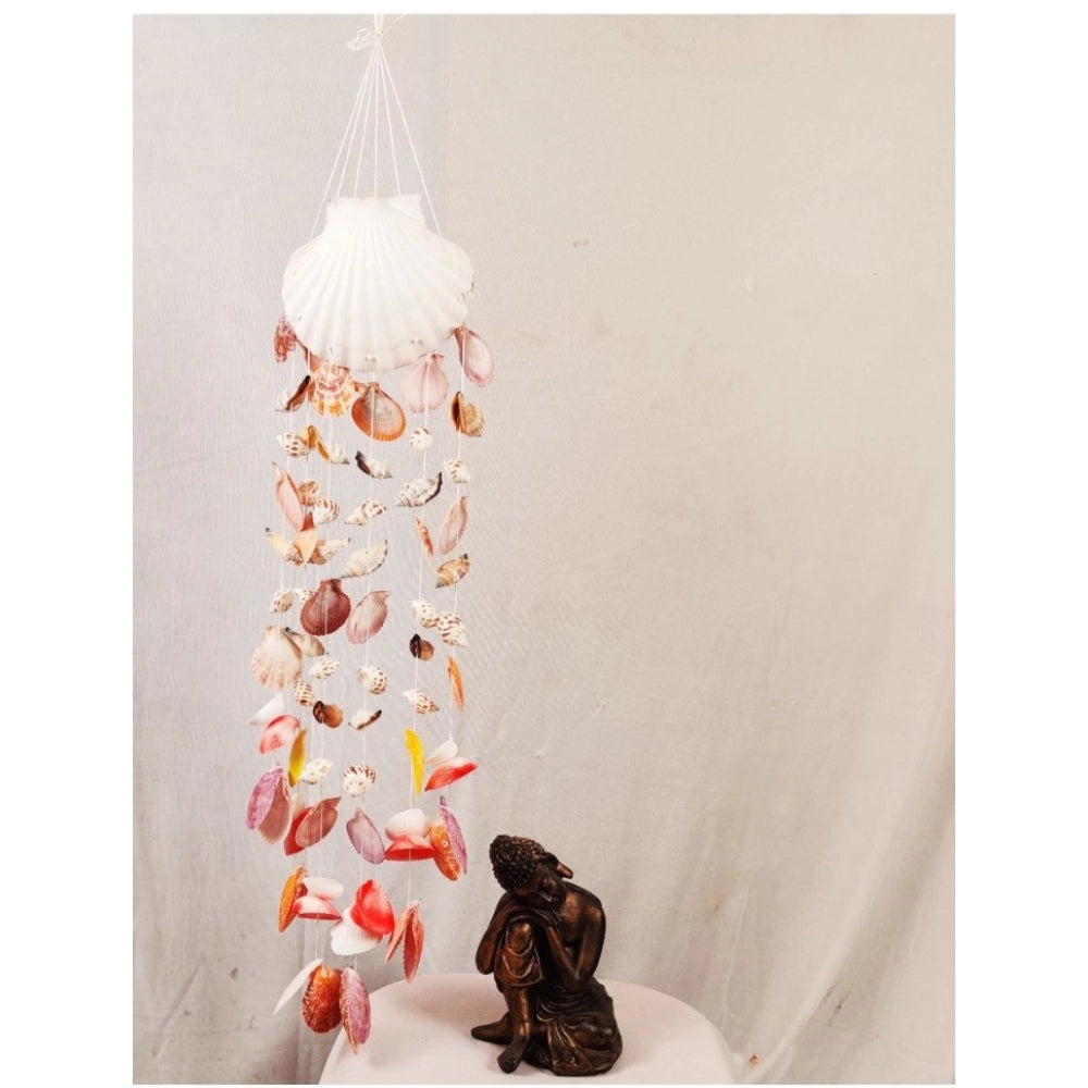 Amfyn Seashell Shellkrafts Home Decor (Multicolor)