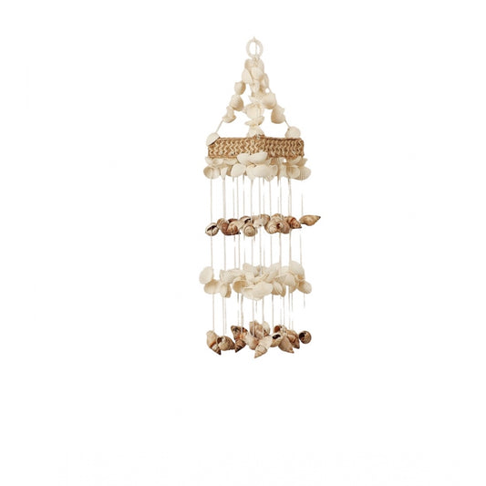 Amfyn Seashell Shellkrafts Home Decor (White)