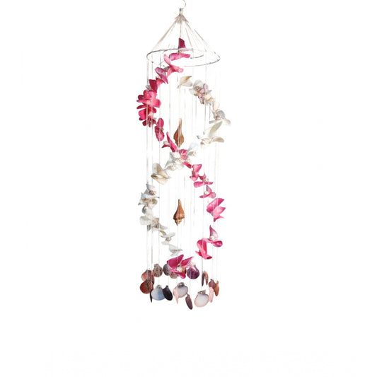 Amfyn Seashell Shellkrafts Home Decor (Multicolor)