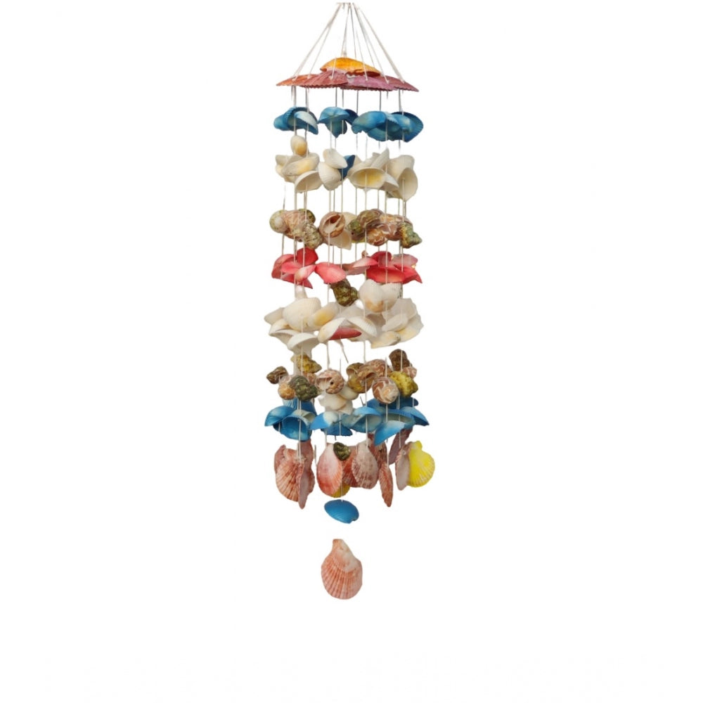 Amfyn Seashell Shellkrafts Home Decor (Multicolor)