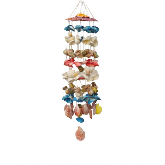 Amfyn Seashell Shellkrafts Home Decor (Multicolor)