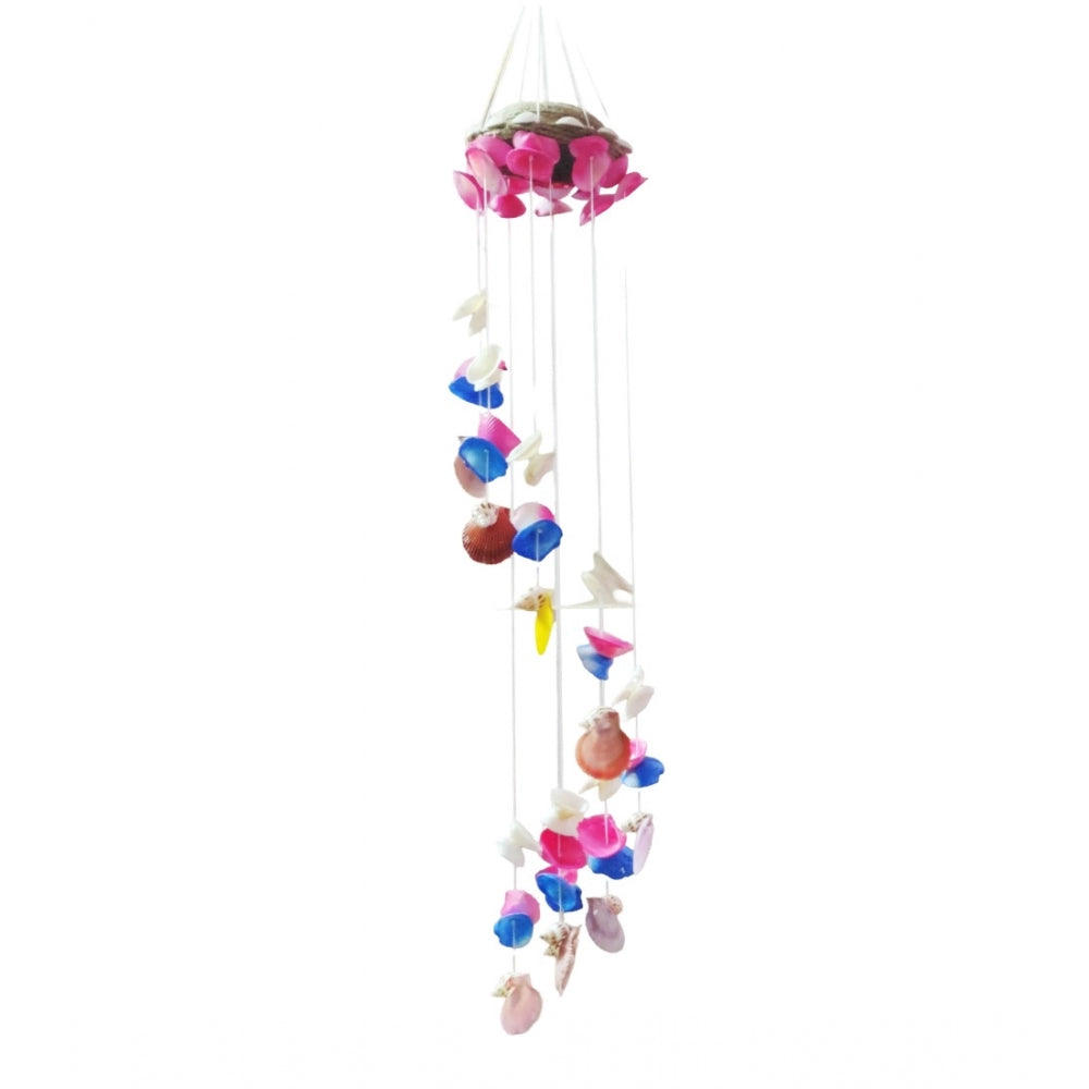 Amfyn Seashell Shellkrafts Home Decor (Multicolor)