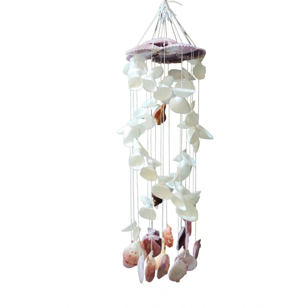 Amfyn Seashell Shellkrafts Home Decor (White)