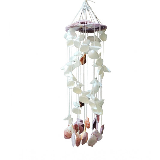 Amfyn Seashell Shellkrafts Home Decor (White)