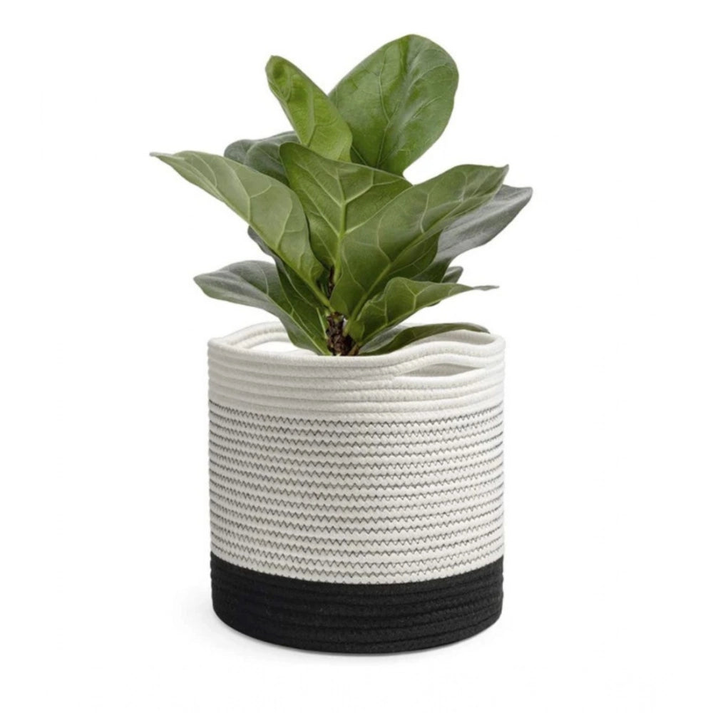 Amfyn Cotton Large Woven Storage Basket 10x10 Inch Pack of 1 (White)