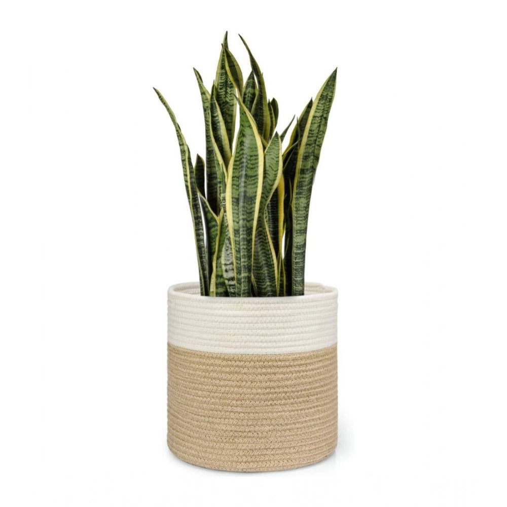 Amfyn Cotton Large Woven Storage Basket 11x11 Inch Pack of 1 (Beige White)