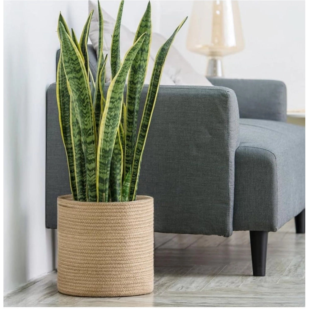 Amfyn Cotton Large Woven Storage Basket 11x11 Inch Pack of 1 (Beige)