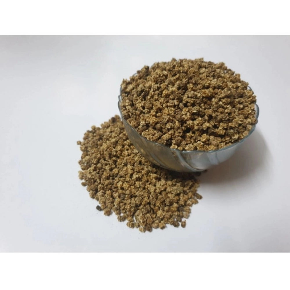 Amfyn Beetroot Microgreen Seeds – Easy to Grow, Rich in Nutrients