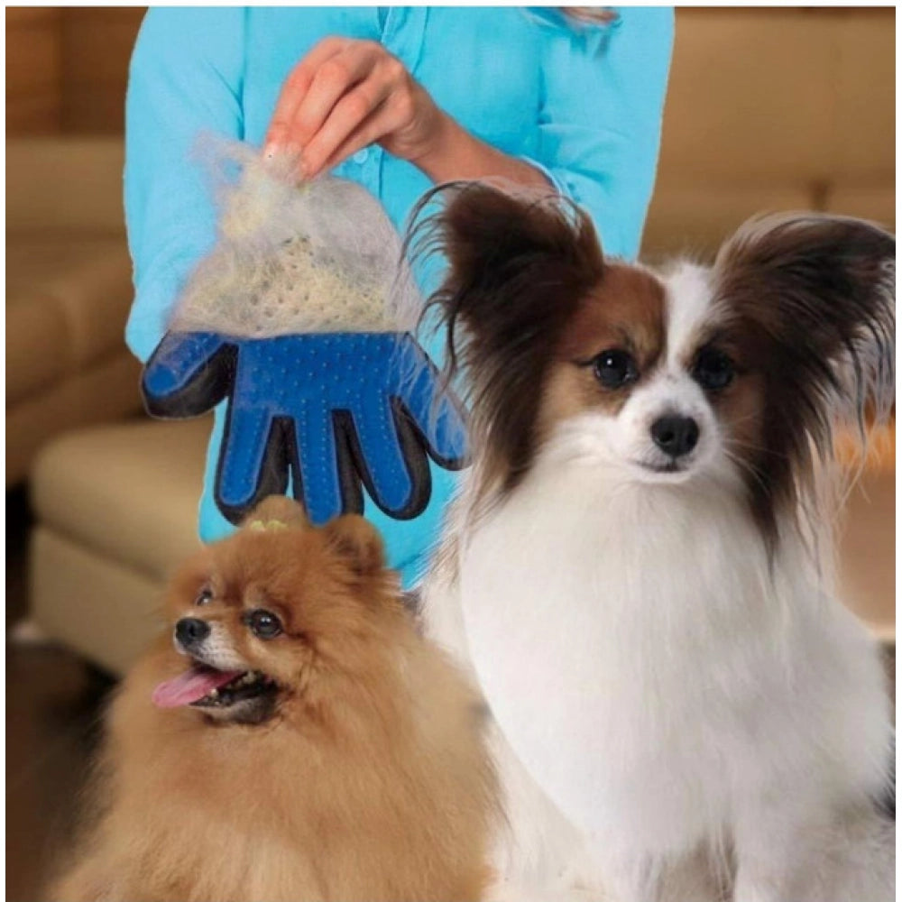 Amfyn Pack of 2_5-Finger Deshedding Glove – Pet Hair Remover And Grooming Gloves (Color: Assorted )