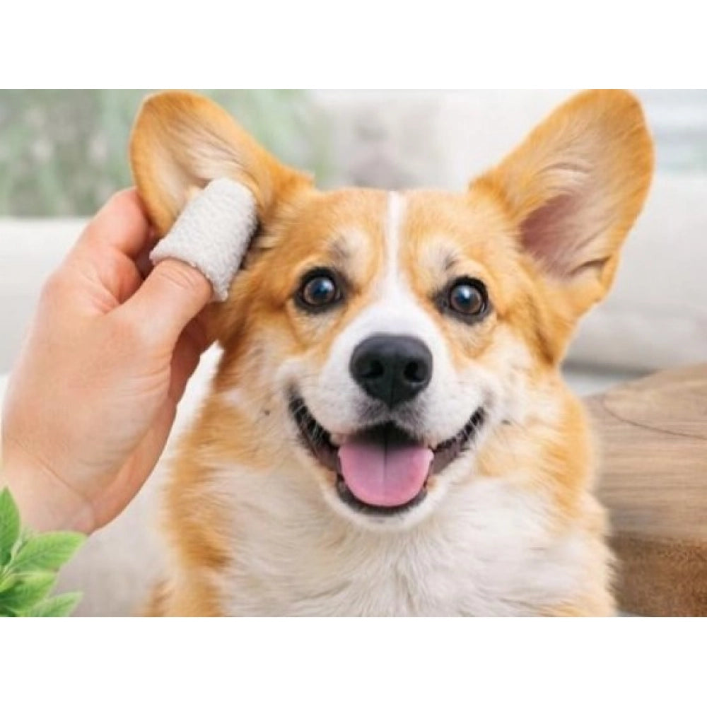 Amfyn Pack of 2 Pet Ear Cleaning Wipes (White)
