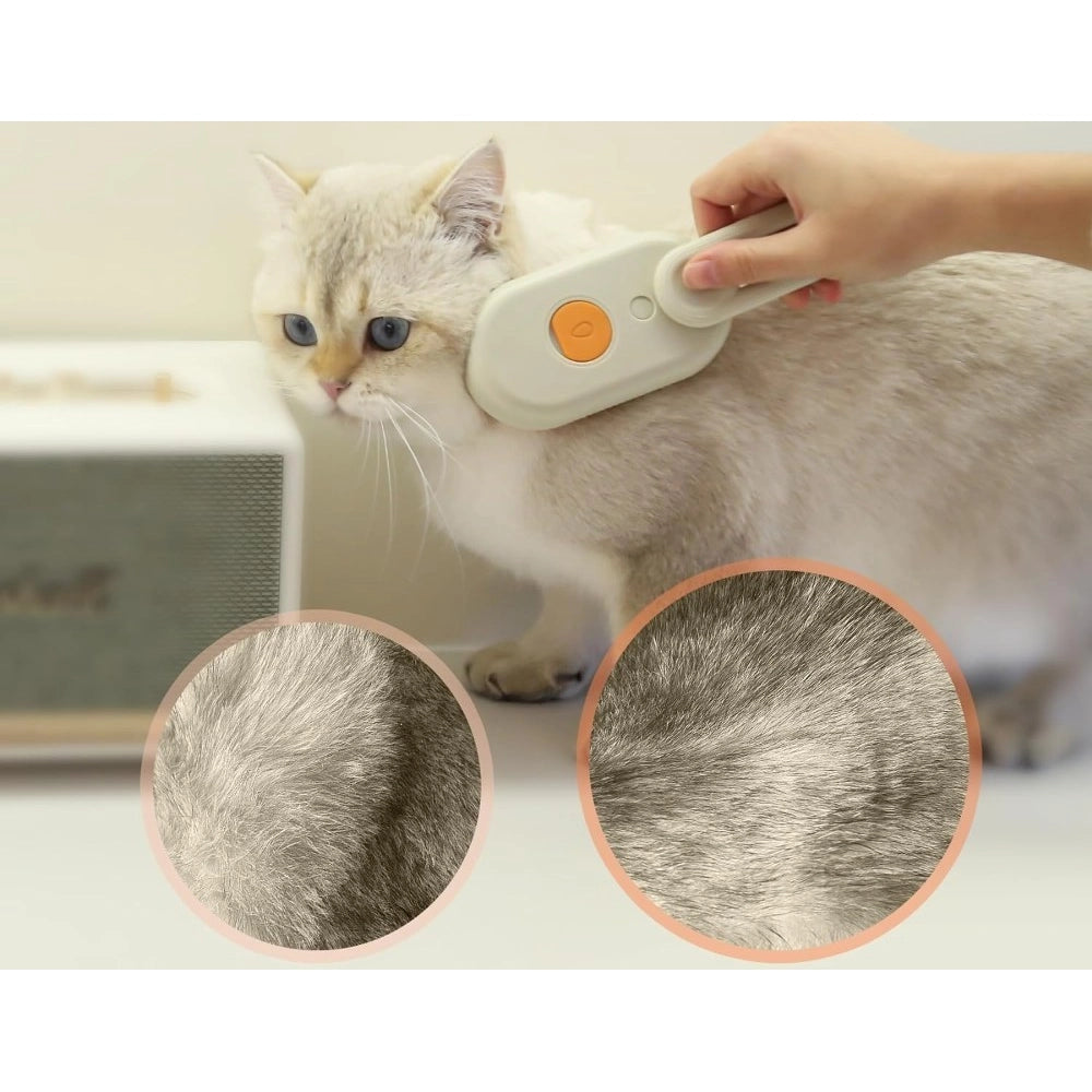Amfyn Pack of 2 Pet Brush (Multicolor)