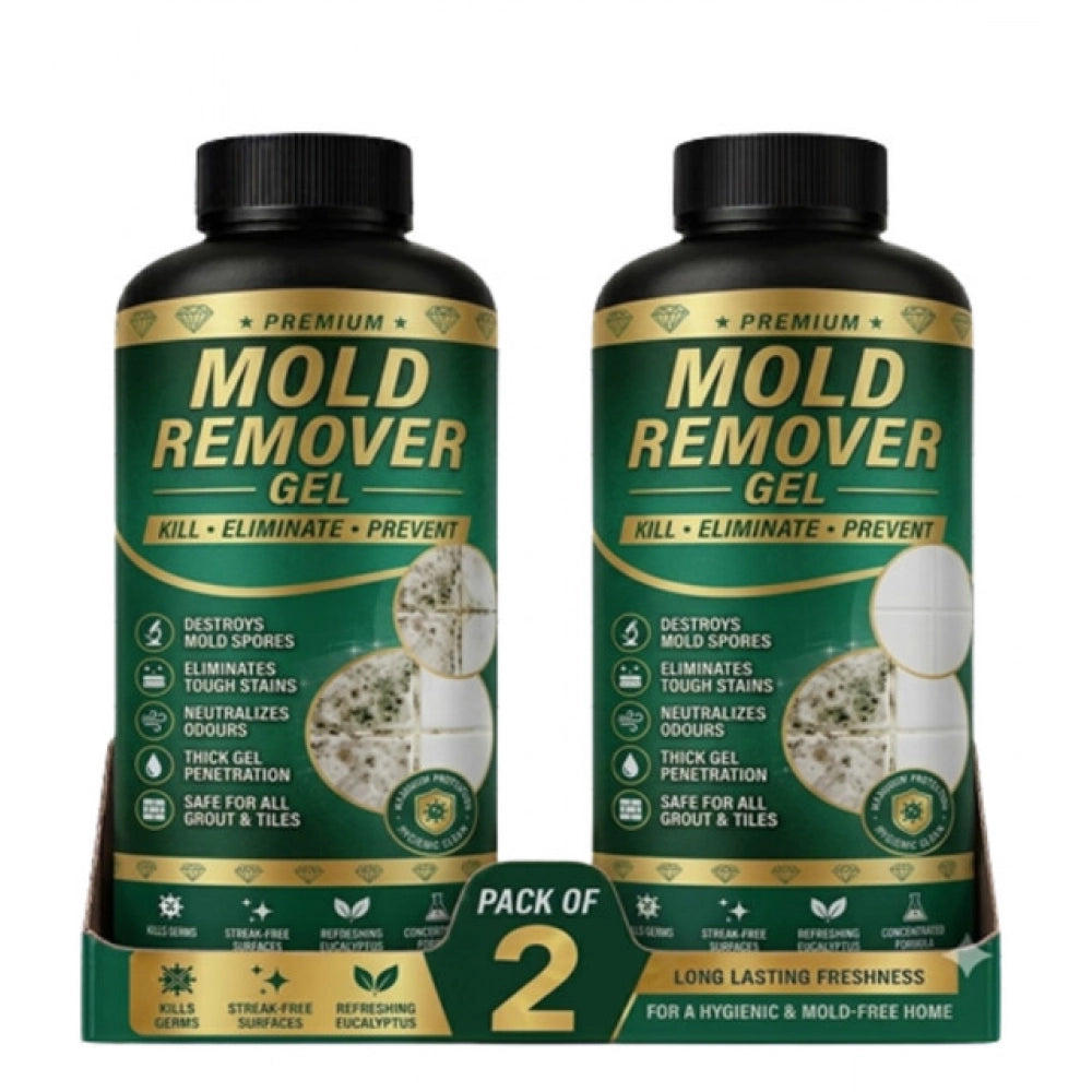 Amfyn Pack of 2 Mold Remover Gel Bottles 100 ML